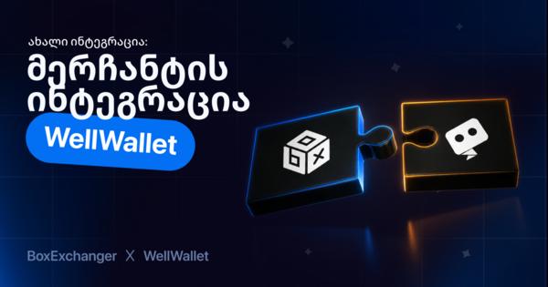 Image for WellWallet-ის ინტეგრაცია