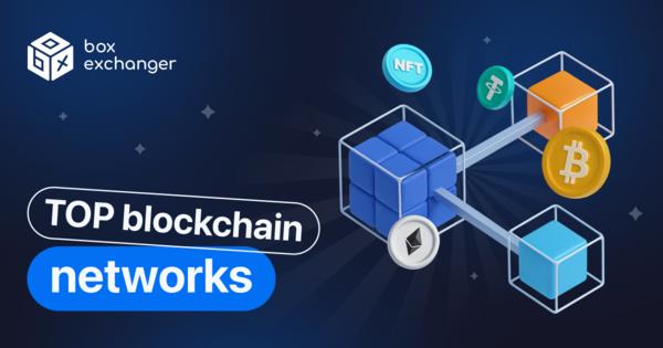 Image for Popular Blockchain Networks