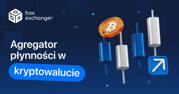 Image for Agregatory płynności