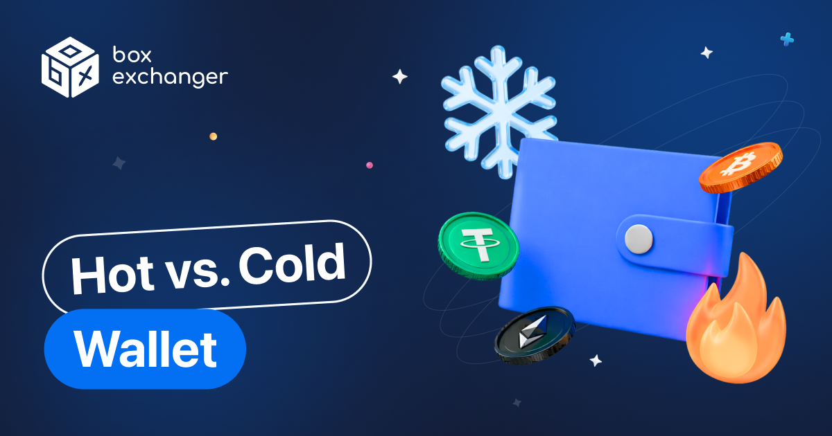 ImageCold Wallet and Hot Wallet